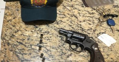 4262f1058a034bf5e694a330faa59654