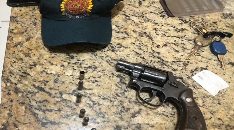 4262f1058a034bf5e694a330faa59654