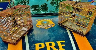 2f1c48d3-739a-4bf5-8873-db80814ad56f