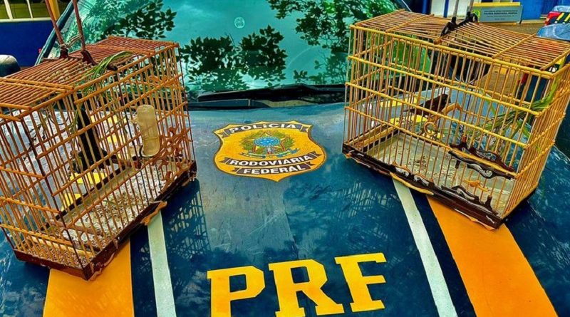 2f1c48d3-739a-4bf5-8873-db80814ad56f