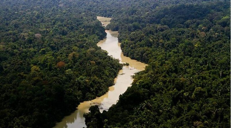 amazonia