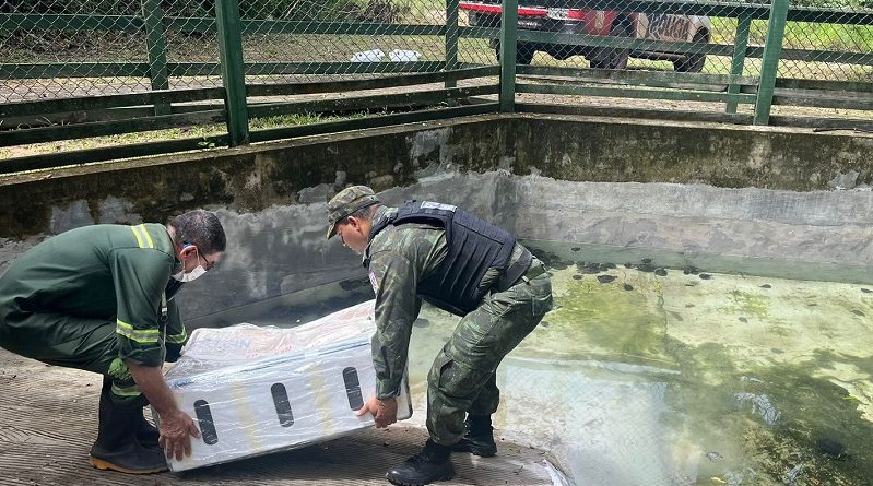 WhatsApp Image 2023-03-06 at 11.30.44