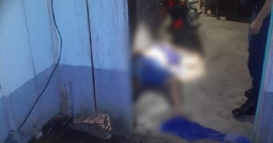 Peruca encontrada pela polícia. (Foto: Reprodução).