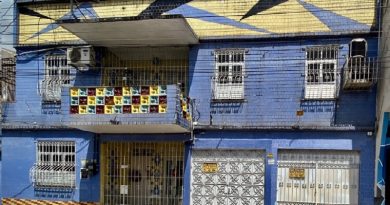 entre-cacos-e-cores-o-movimento-paraense-raio-que-o-parta_1