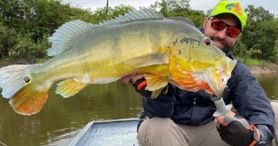 0B11DBBA-307A-4E32-A17A-BE37519C3B5C