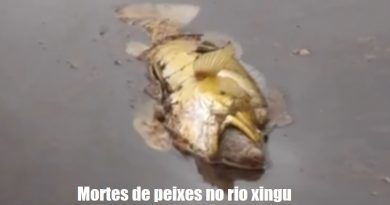 peixe