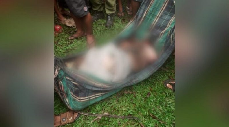 43_647fa06ac4eda-696x418