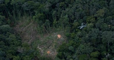 52900237537_e22d4b5688_k