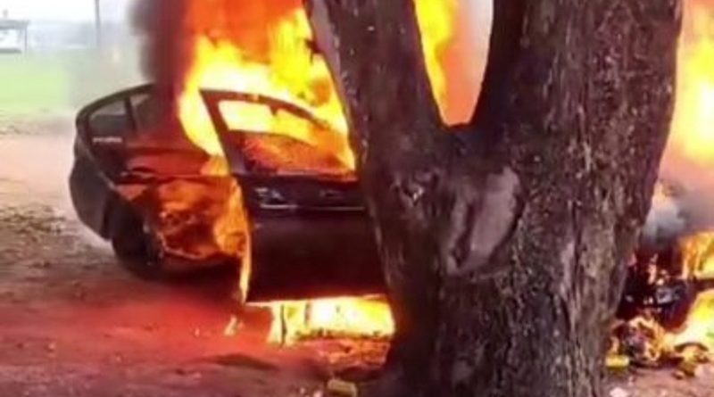 8c007e3ef628f74749c5ba7f9232171a