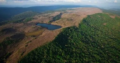 Desmatamento-na-Amazonia