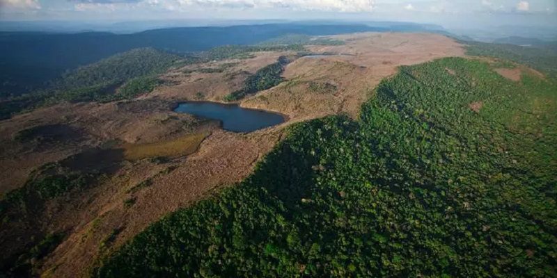 Desmatamento-na-Amazonia