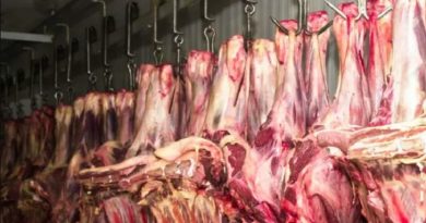 Meu-projeto-16_00813036_0_-3