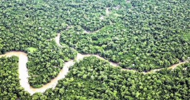 Meu-projeto-25_00813387_0_-3