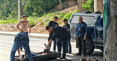 WhatsApp Image 2023-05-28 at 09_16_46