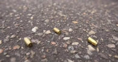 munic-o-balas-cartuchos-tiro-arma-policia