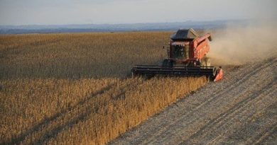 soja-06052019132754921