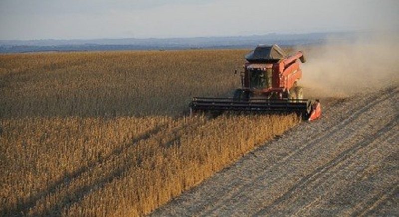 soja-06052019132754921