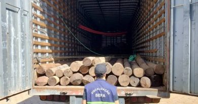 Sefa apreende 150 toras de madeira — Foto: Ascom Sefa