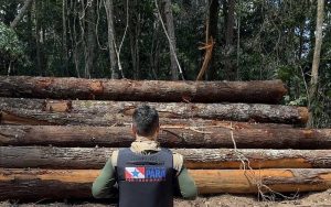 up_ag_44845_0dd0d4ba-e01b-c39d-a896-7143b3c61644