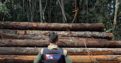 up_ag_44845_0dd0d4ba-e01b-c39d-a896-7143b3c61644