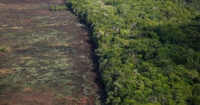 Foto: Sérgio Lima/Poder360