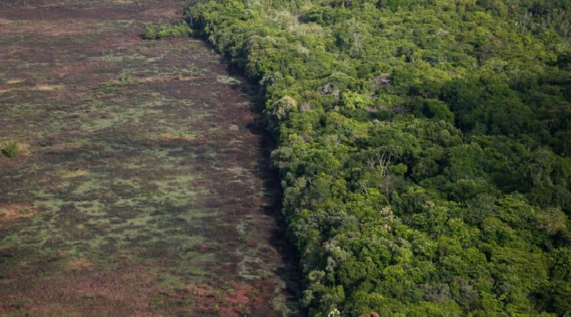 Foto: Sérgio Lima/Poder360