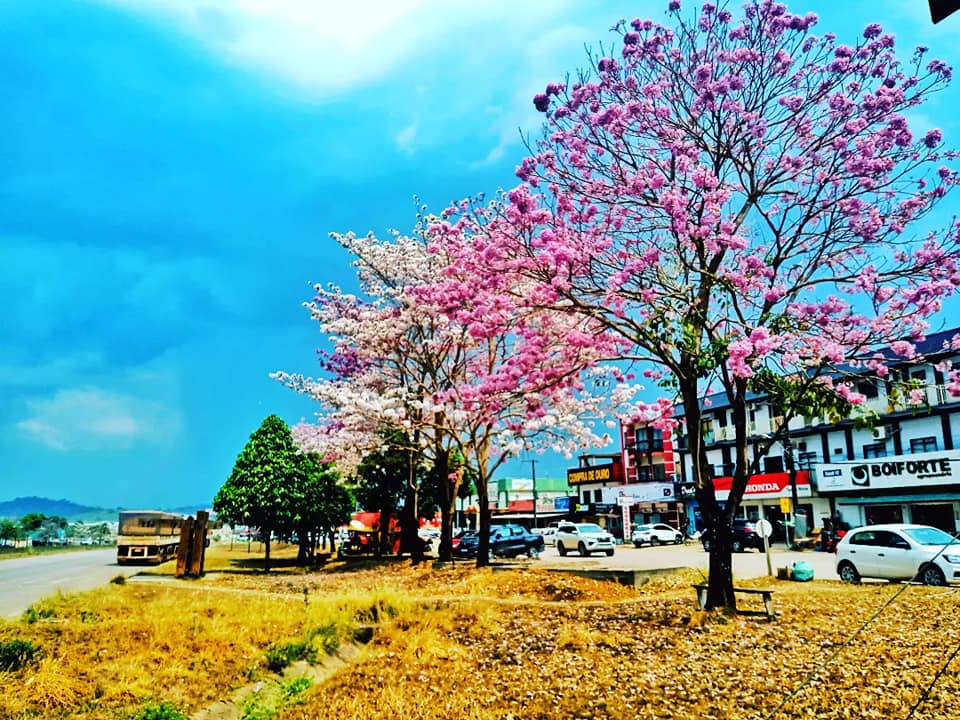 298963473_470660105069139_1851861735795487059_n