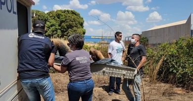 643bb9b629763433d293dcc2815bdccc