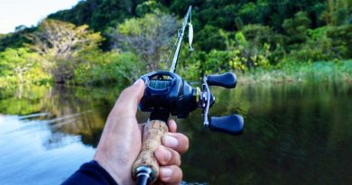 Imagem_Divulgação_Wilson Soares