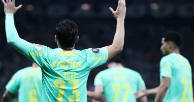 RAFEL VEIGAS PALMEIRAS