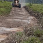 VICINAL-CASTANHAL2-150x150