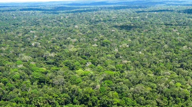 Unidade de Conservação (UC) do Tapajós abrange os municípios de Itaituba, Jacareacanga e Novo Progresso (Reprodução/ICMBio)