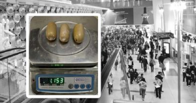 Depositphotos_241695348_XL-copiar-696x464