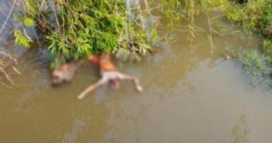 388fa7f05cdc501bdf89cf3e90e5c184