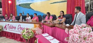 Mesa diretora da sessão_Instituto Mais Saúde