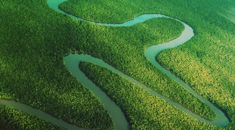 Desafios e Compromissos Futuros  -Foto: Bruno Cecim / Ag.Pará