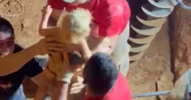 castelo de sonhos criança