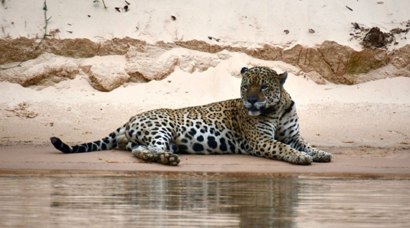 55fc7532-2b45-40f0-813e-28002703e4e2