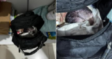 8561e4b34608a93a3069d1605e225938