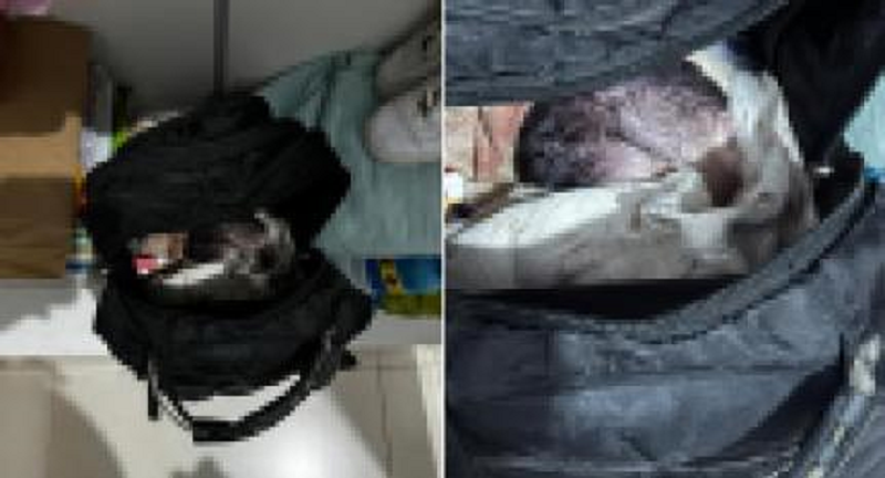 8561e4b34608a93a3069d1605e225938