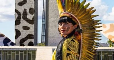 deputada Célia Xakriabá