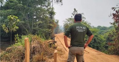 Operação de Desintrusão das Terras Indígenas Apyterewa e Trincheira Bacajá no Pará — Foto: Divulgação