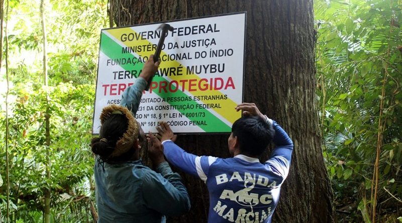 terra indigena muyubu
