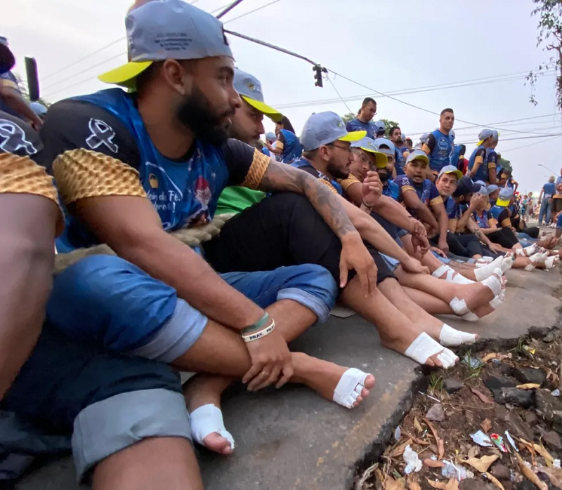 Cordeiros aguardando a saída da imagem — Foto: Kamila Andrade/g1