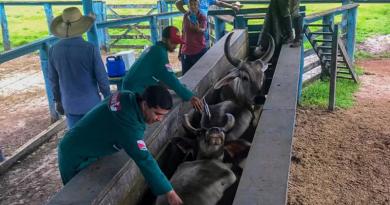 VACINACAO_00838617_0_-3