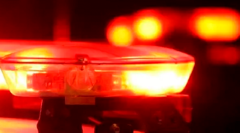 WhatsApp-Image-2023-12-14-at-17-18-25