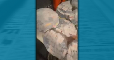 cesta-natalina1258-233x275