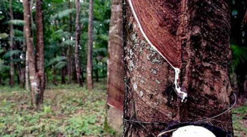 e50551f5fd682e4c63718aad4ec987b6