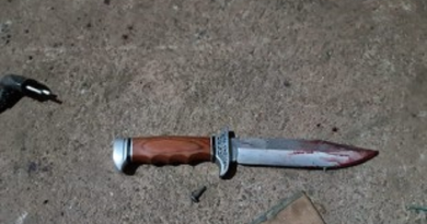 fb5cc8f1d6ce22b83f6b1fa12c6d9241-320x240