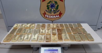 Ouro apreendido pela PF (Foto:Divulgação)